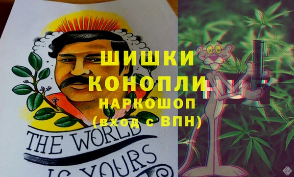 соль ск Лиски