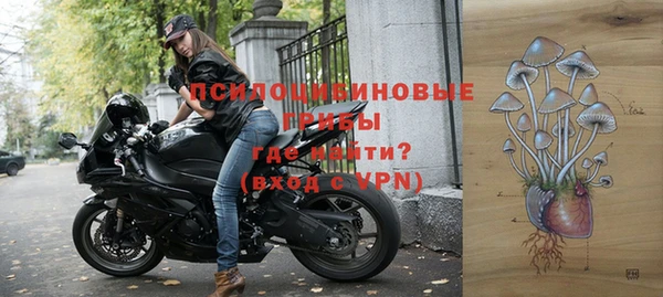соль ск Лиски