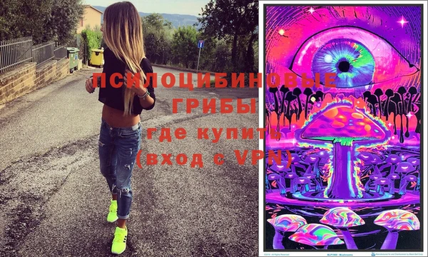 скорость Липки