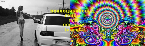 скорость Липки