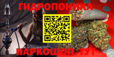 spice Балашиха