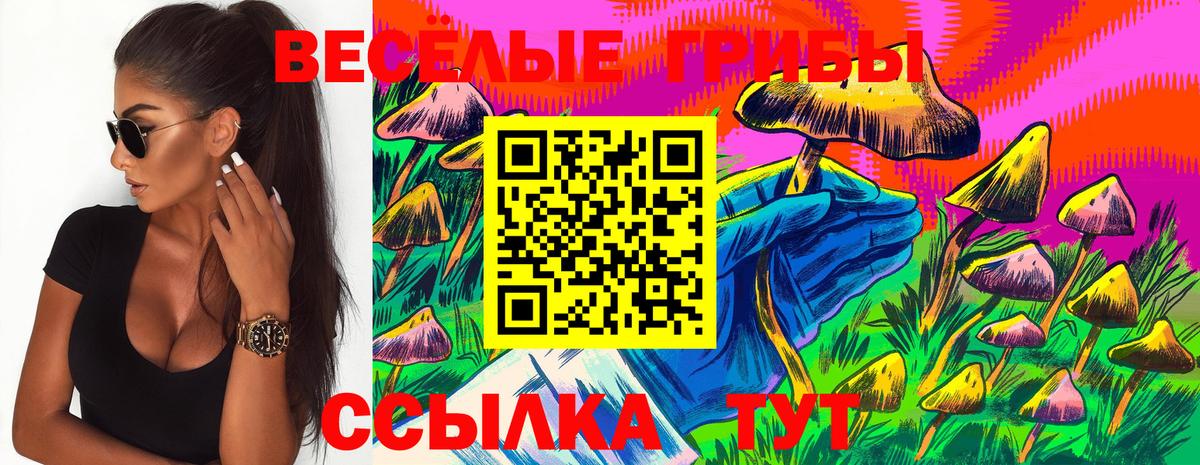 Галлюциногенные грибы Cubensis  где найти   Балашиха  Вход с VPN 