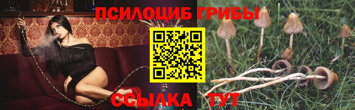 Галлюциногенные грибы мухоморы  наркота  Балашиха  Галлюциногенные грибы Cubensis 